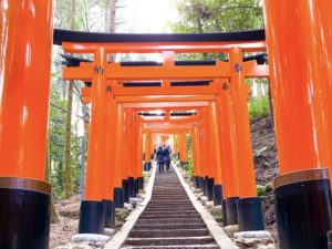 京都伏見稲荷でスピリチュアル巡礼＆トレッキング、波動を上げる旅の方法