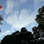 八方除の寒川神社へ導かれる